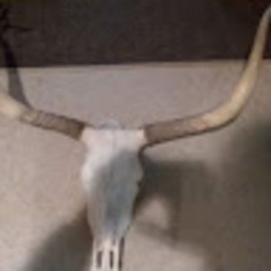 Meet your Posher, Donald